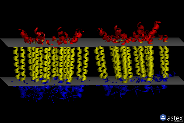 Membrane view of 7tv3