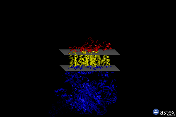 Membrane view of 7tw3