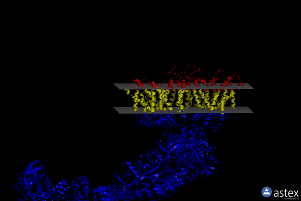 Membrane view of 7tw6