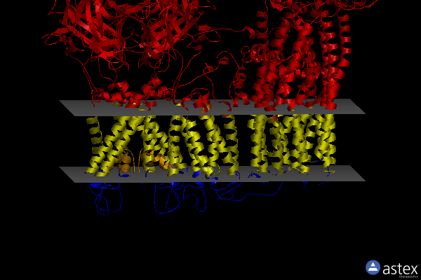 Membrane view of 7tyt