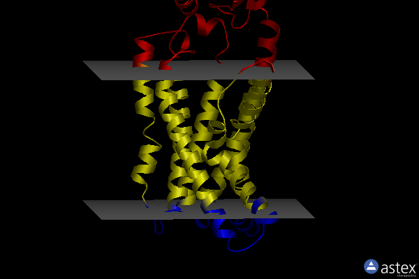 Membrane view of 7tyy