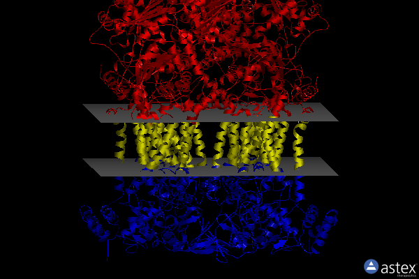 Membrane view of 7tz6