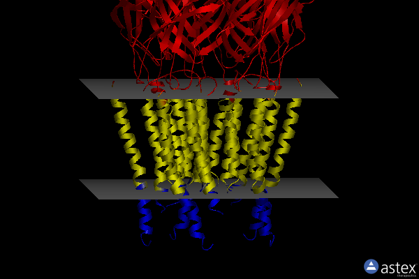 Membrane view of 7u2n