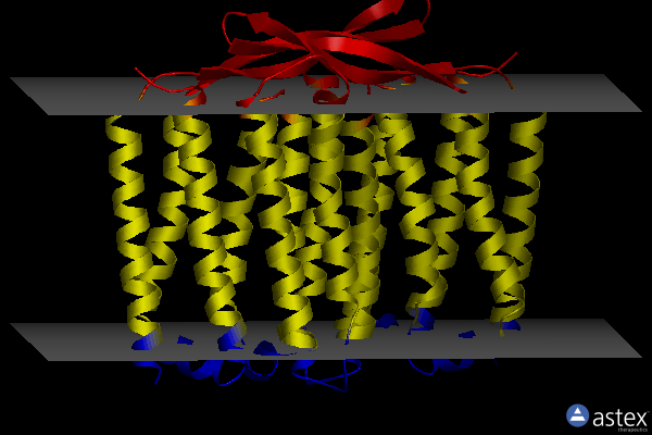 Membrane view of 7u55