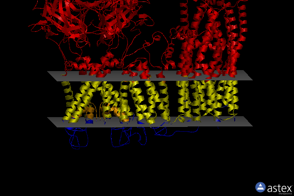Membrane view of 7u6y