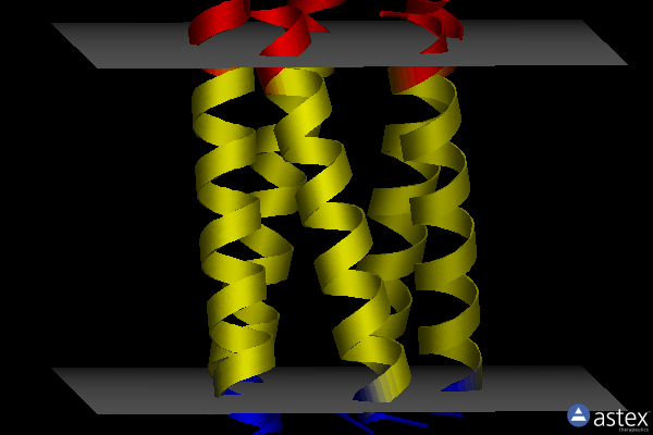 Membrane view of 7udy
