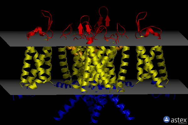 Membrane view of 7uke