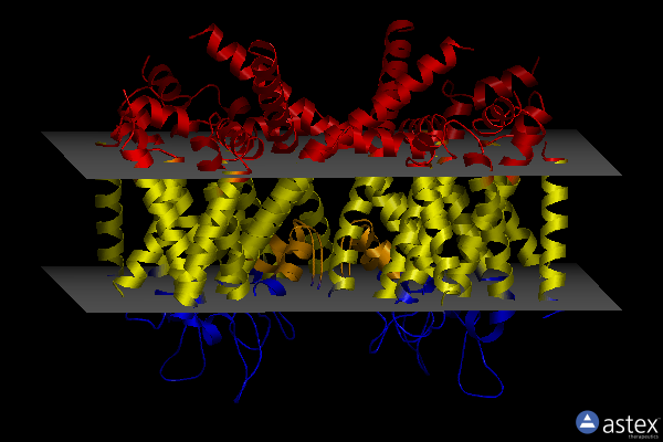 Membrane view of 7ukg