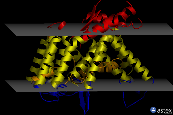 Membrane view of 7ure