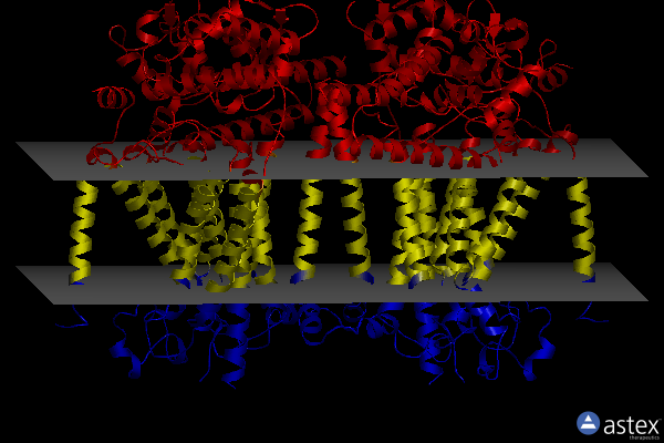 Membrane view of 7usx