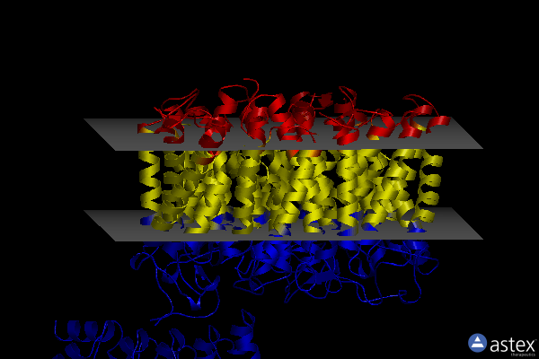 Membrane view of 7v0s