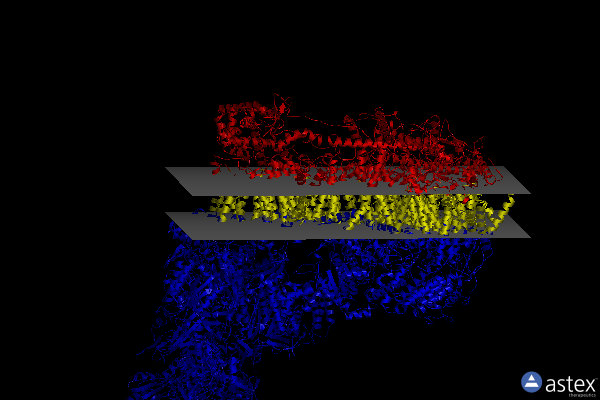 Membrane view of 7v30