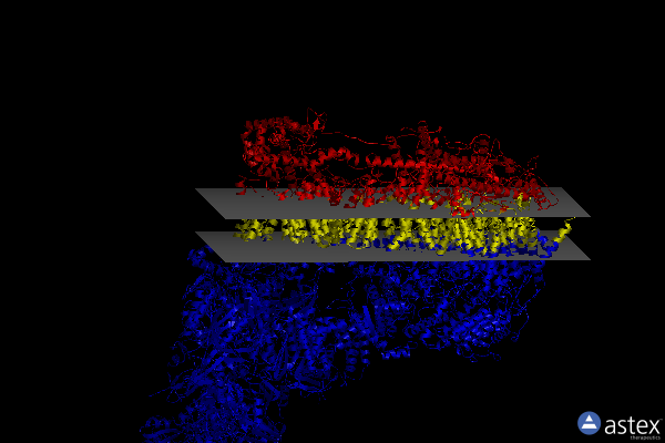 Membrane view of 7v32