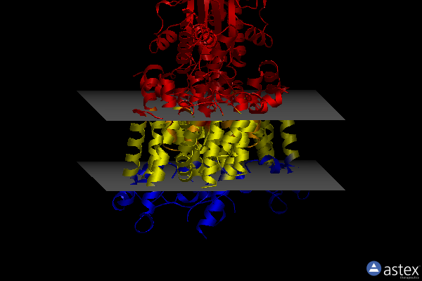 Membrane view of 7v73