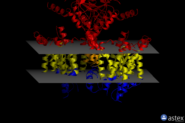 Membrane view of 7v74