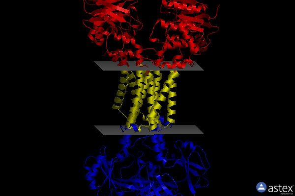 Membrane view of 7v8m
