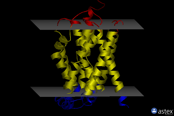 Membrane view of 7vag