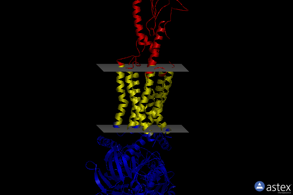 Membrane view of 7vbh