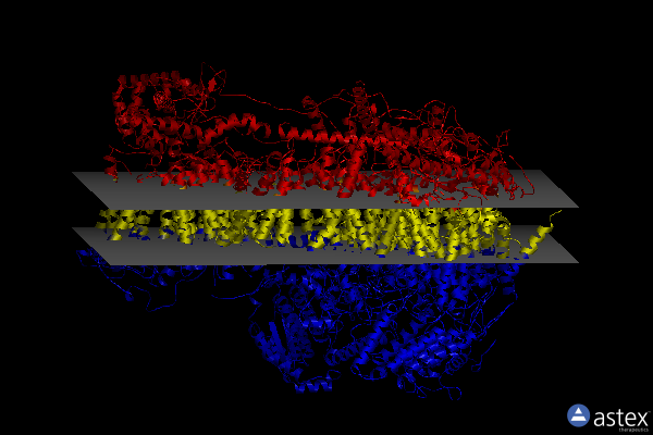 Membrane view of 7vbl