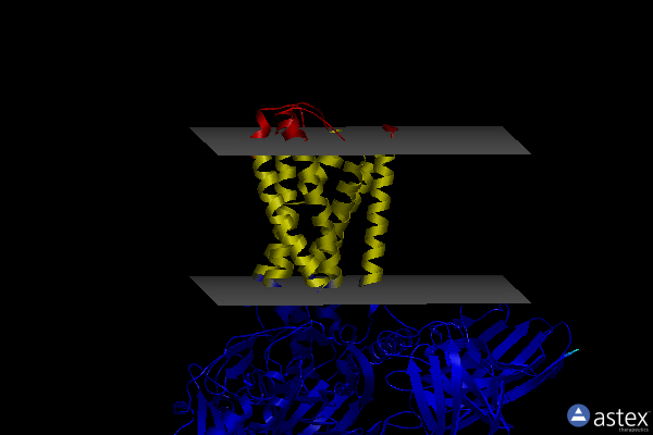 Membrane view of 7vdh