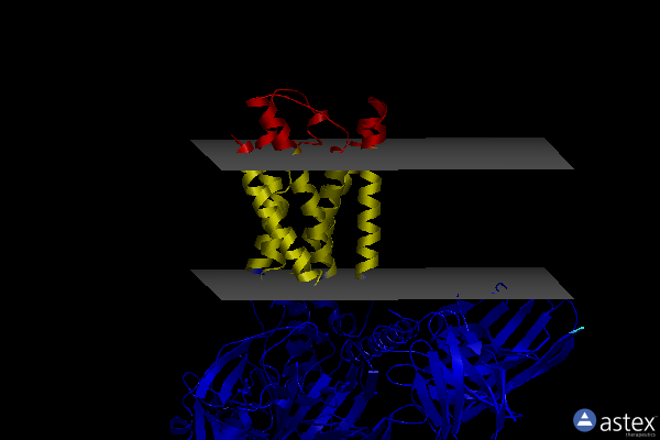 Membrane view of 7vdm