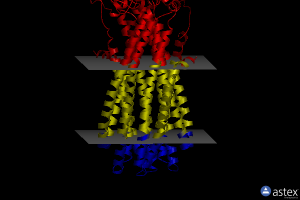 Membrane view of 7vfi
