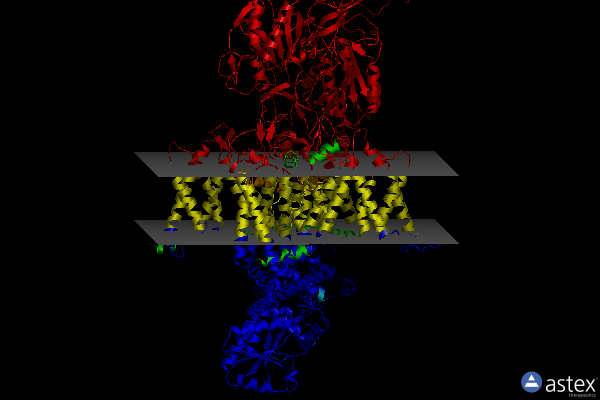 Membrane view of 7vfs