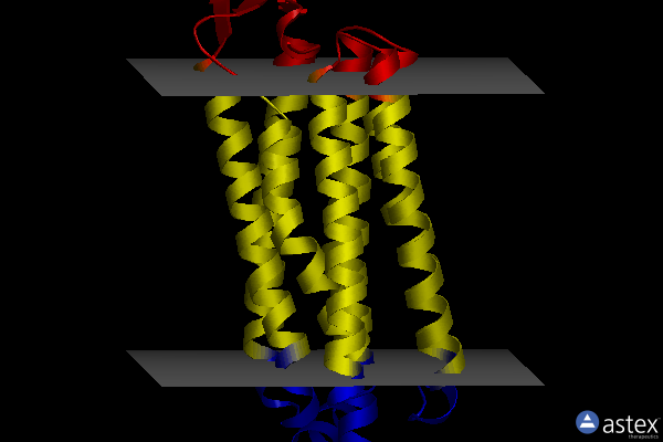 Membrane view of 7vgt