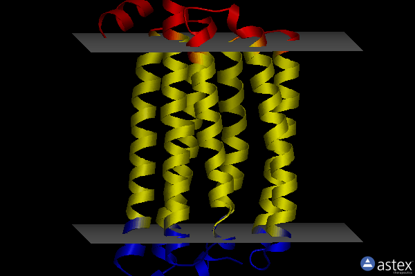 Membrane view of 7vgv