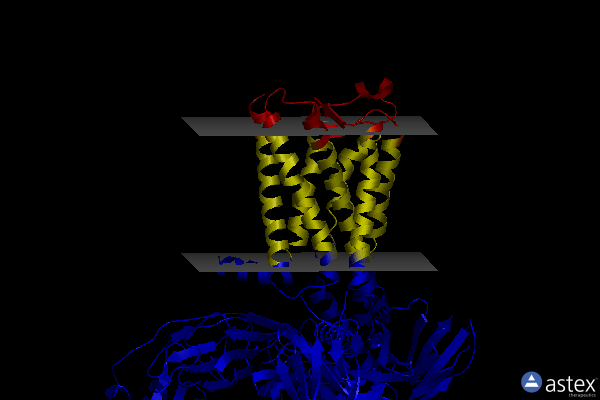 Membrane view of 7vgy