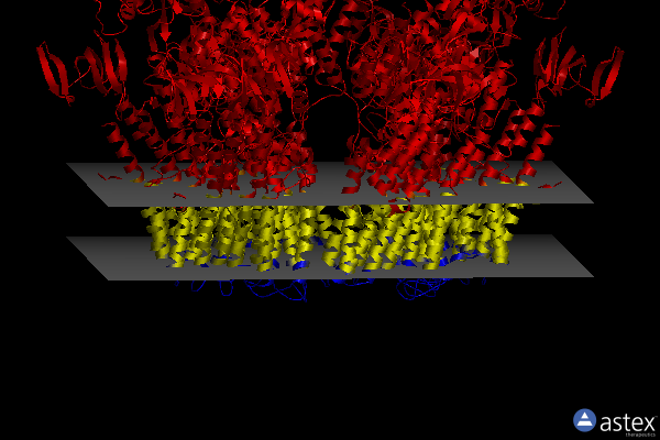 Membrane view of 7vh5