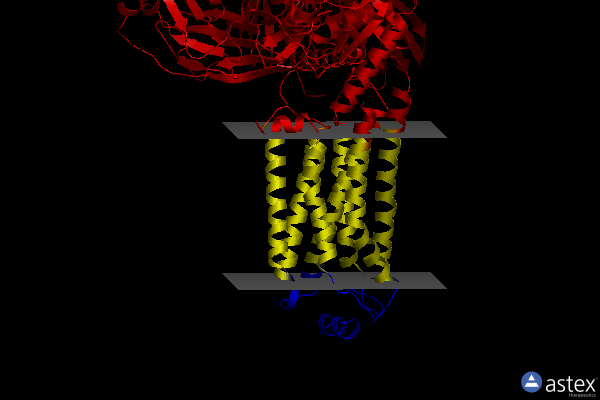 Membrane view of 7vie