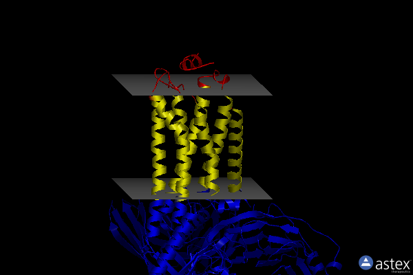 Membrane view of 7vif