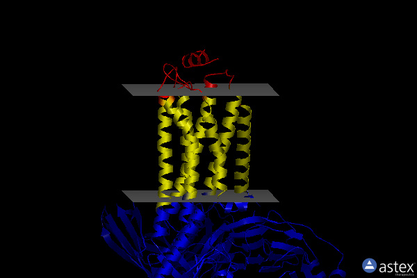 Membrane view of 7vig