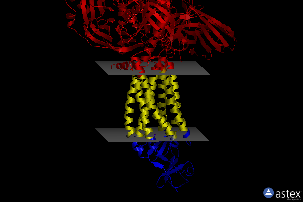 Membrane view of 7vla