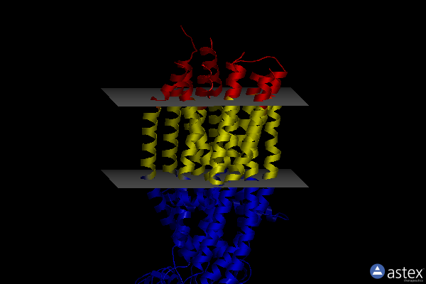 Membrane view of 7vls