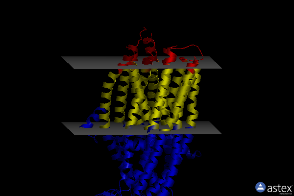 Membrane view of 7vlu