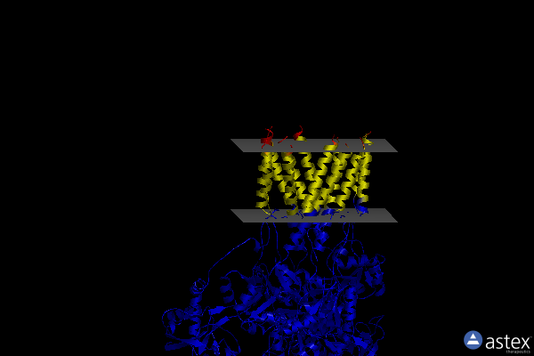 Membrane view of 7vm2