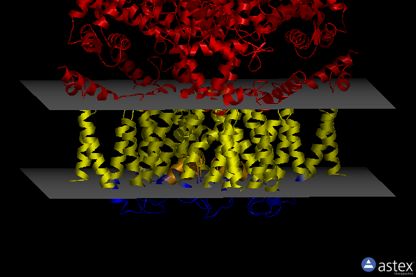 Membrane view of 7vnr