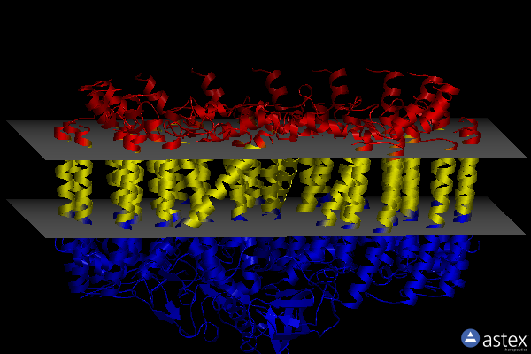 Membrane view of 7vny