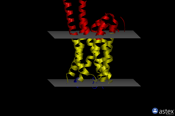 Membrane view of 7vod