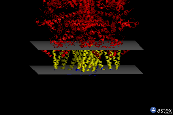 Membrane view of 7vq1
