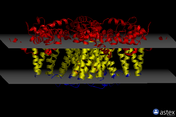 Membrane view of 7vq2