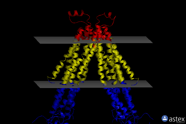Membrane view of 7vr1