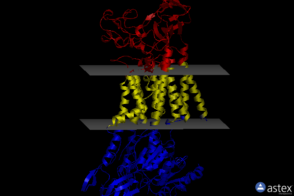 Membrane view of 7vsg