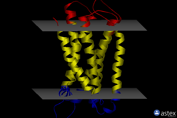 Membrane view of 7vuj