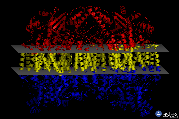 Membrane view of 7vuw