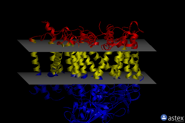 Membrane view of 7vy3