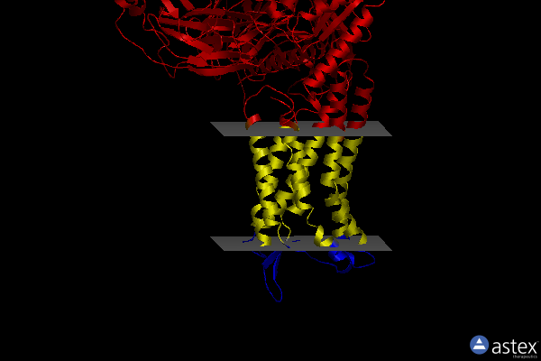 Membrane view of 7w0m