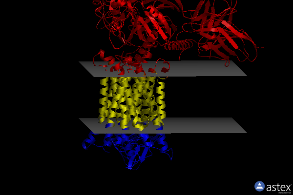 Membrane view of 7w0n